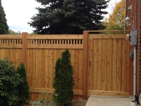 Fence (and gate) work done by David's Quality Renovations.